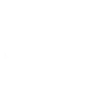 Palm Branch